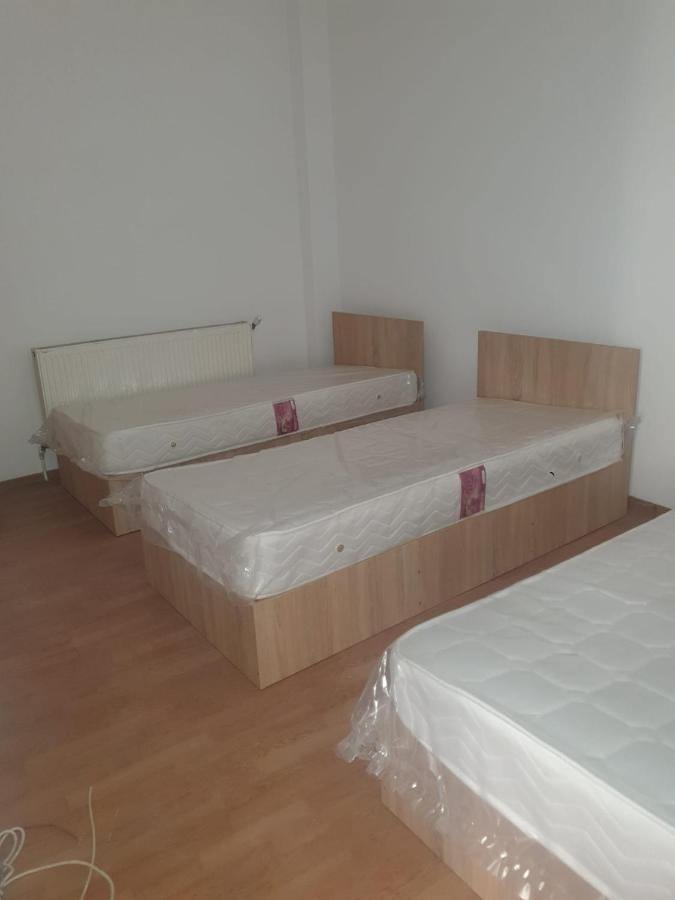 Cazare - Accommodation Bukarest Exterior foto